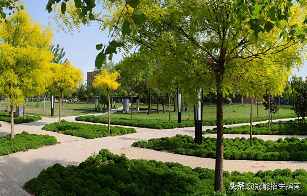 成都护士学校有哪些（成都哪些卫校有护理专业）