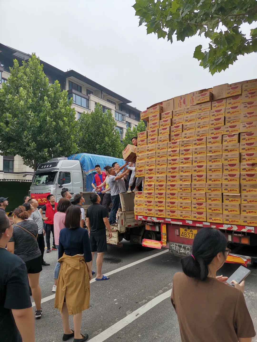 农大人的身影在前，我们“豫”难而上