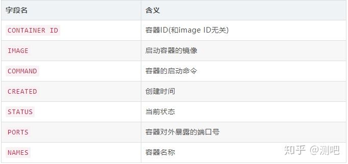 软件测试必会 Docker 实战（一）：掌握高频命令，夯实内功基础