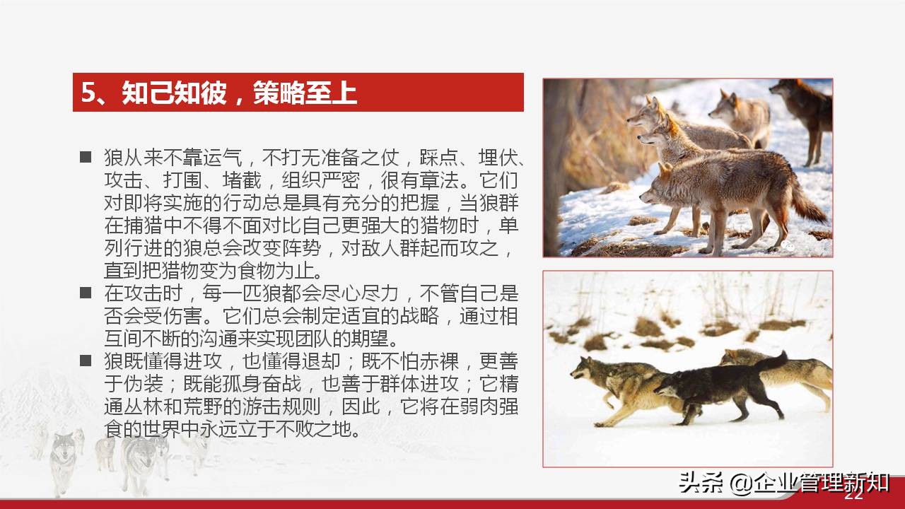 33页完整版，狼性文化与企业精神培训PPT，可直接用于员工培训