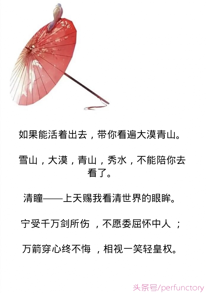 狐妖小红娘名言