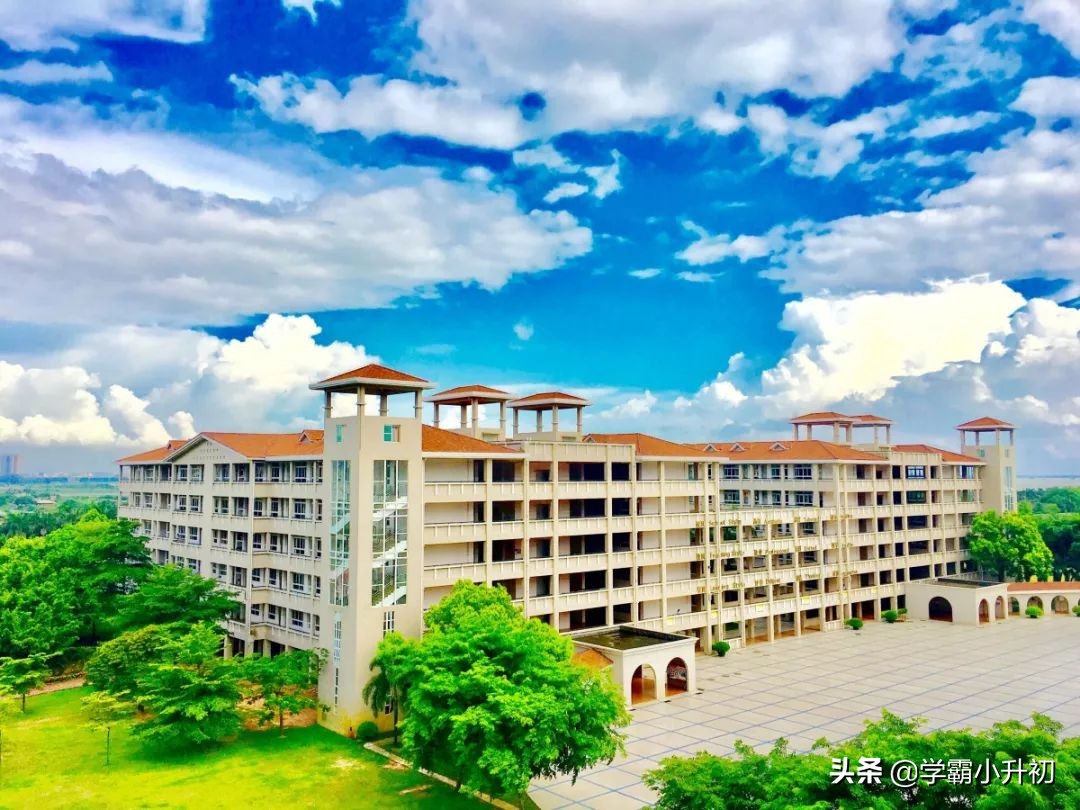 虎门外国语学校2019年小学一年级招生通告