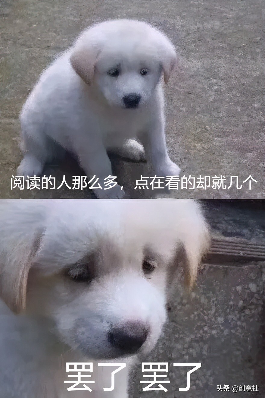 岳云鹏高考祝福翻车，考生：去你的吧哈哈哈哈哈