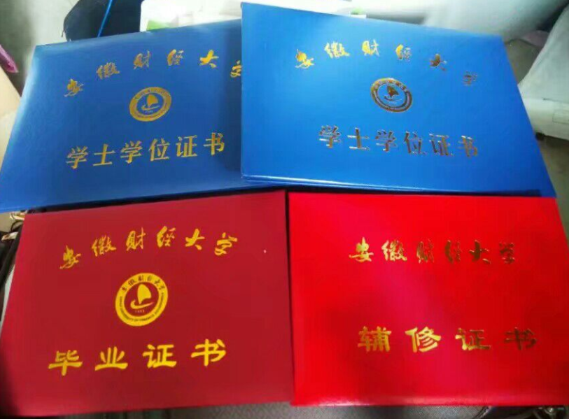 大学报“双学位”有用吗？与第二学位相比，差距在哪几个方面？