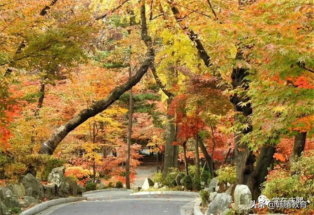 被誉为韩国最美校园，多部韩剧取景地，走进世界名校——庆熙大学