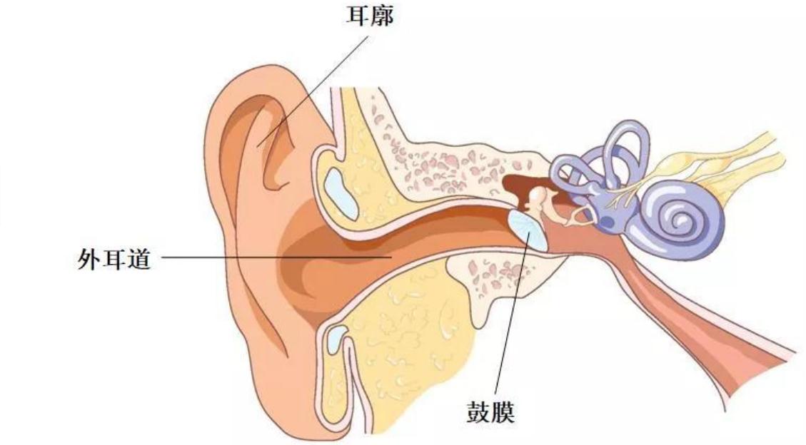 耳屎太多影响宝宝听力？如何正确给娃“掏耳朵”？家长可别瞎勤快