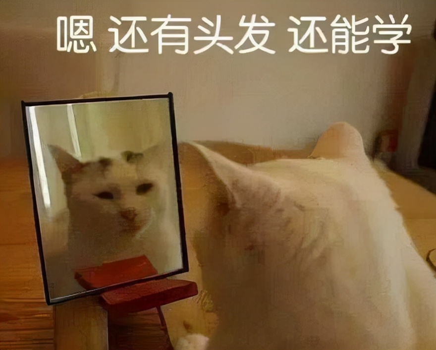 中国有多少本科大学（高考）