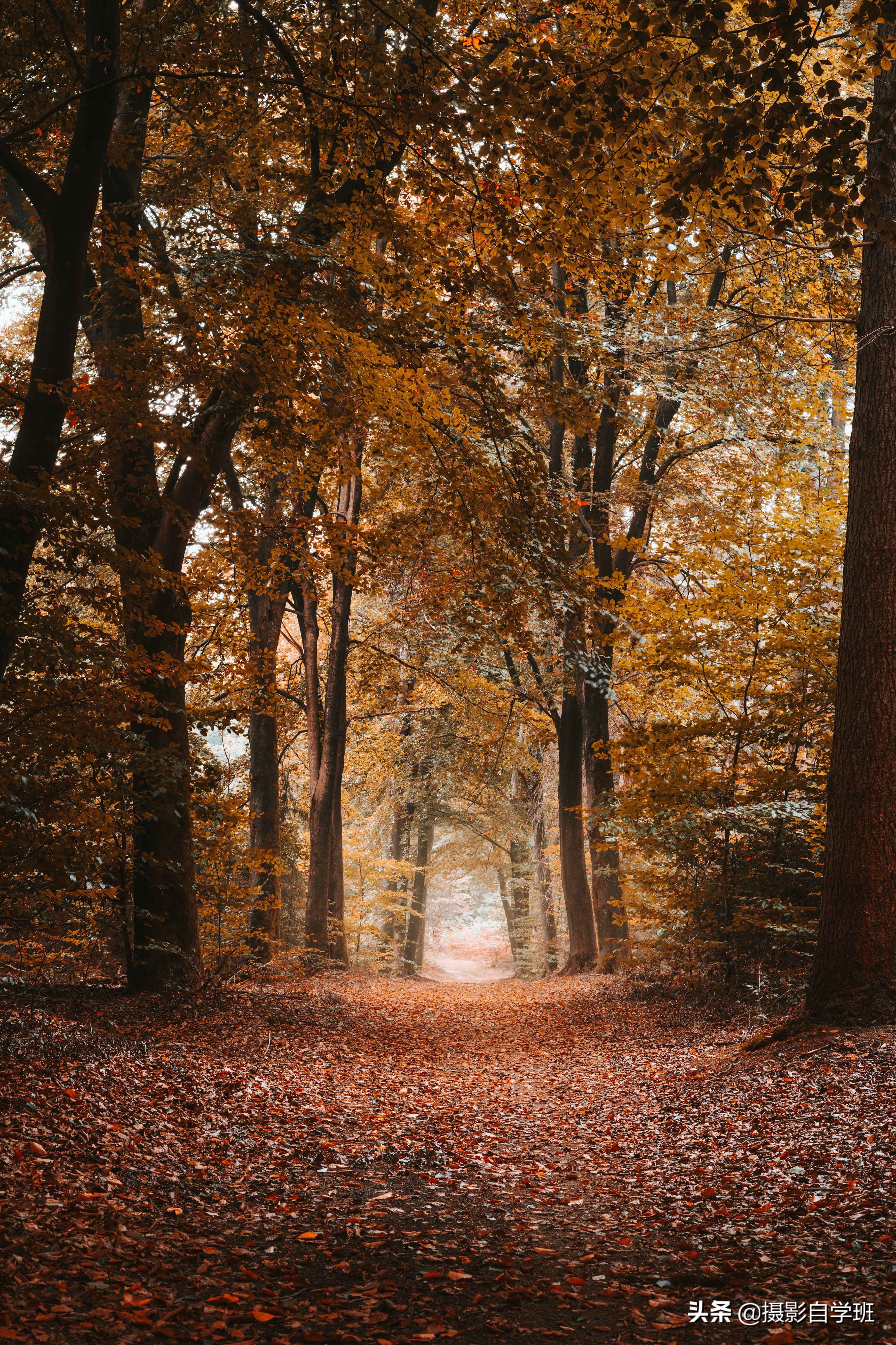 这8个风光摄影技巧,简单实用,帮你风景照片更美丽