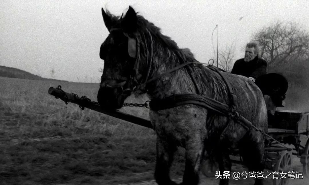 山上的树——尼采，《查拉图斯特拉如是说》