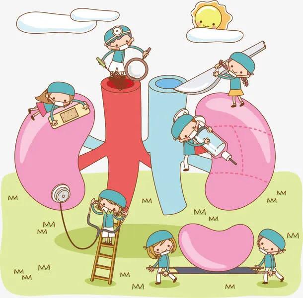 二胎孕前检查（孕前检查）