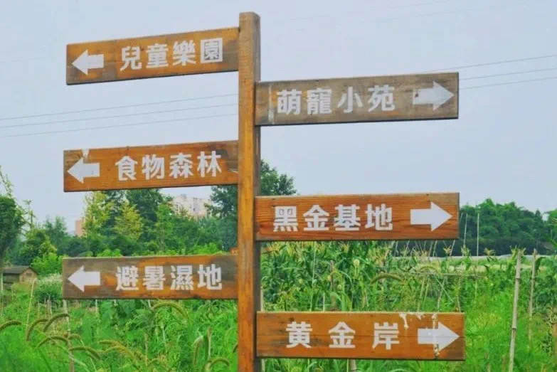 成都5处山野田园：超治愈景色，不要门票纯玩