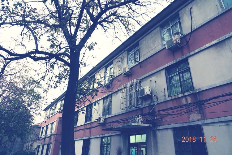 30年重回母校，深情切切，可喜新颜——河大老校区随拍