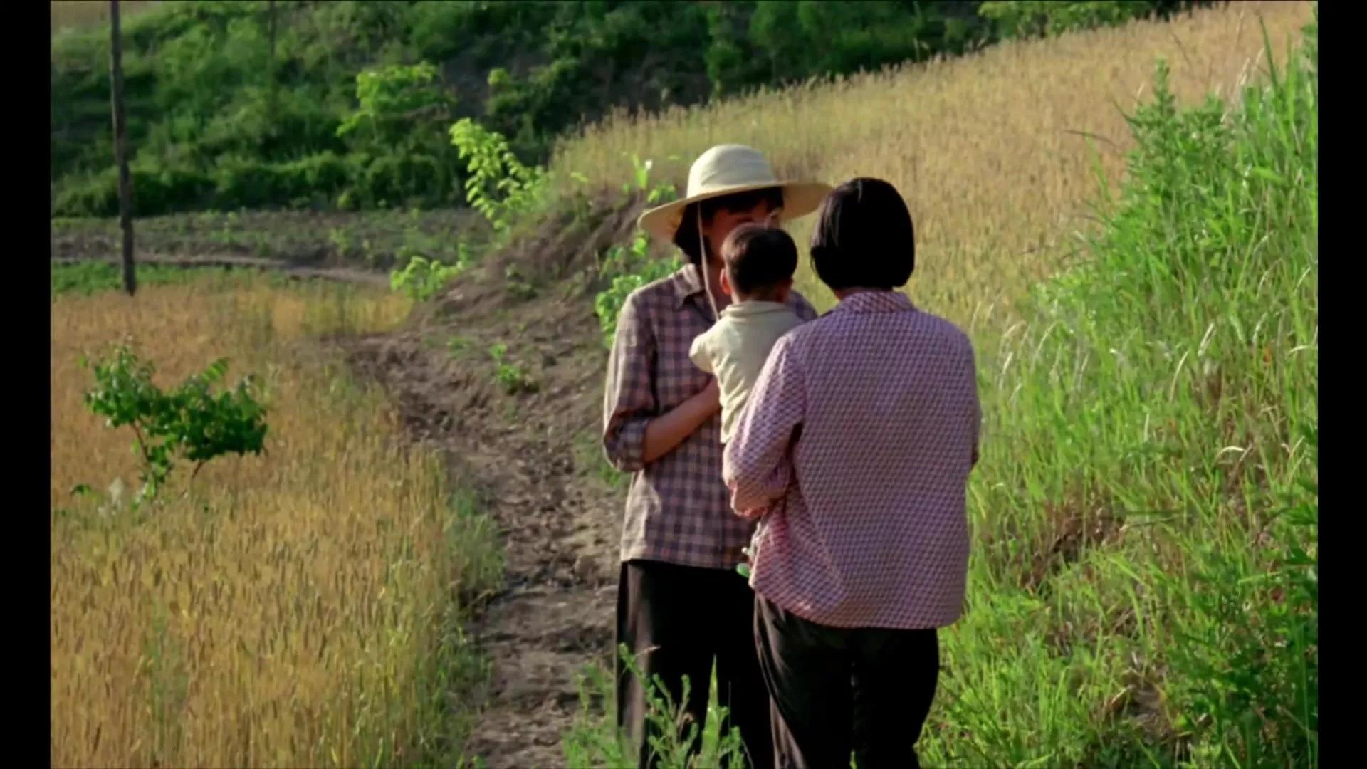 野山电影剧情解析「介绍」 _晶羽科技