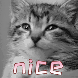 最全分析｜从四大高起点开始好，还是直接去到企业做财务好？