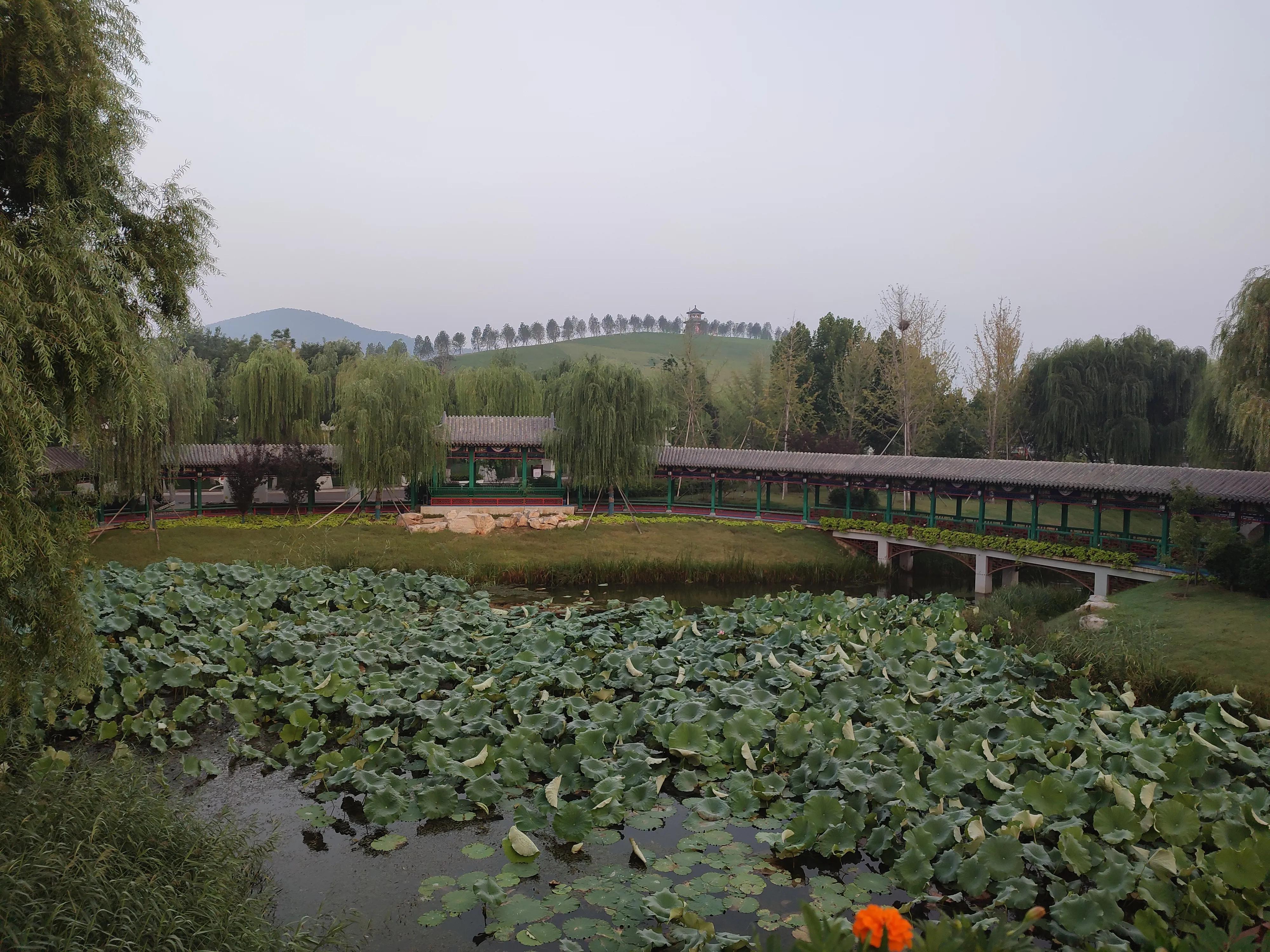 登录查看大图