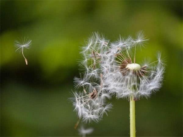 优秀作文赏析：《青春，只是一瞬间》，不负韶华不负卿