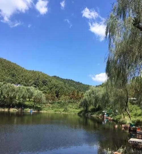 没钱没技术的农村人，如何能快速赚到钱，这里有几个不错的方法