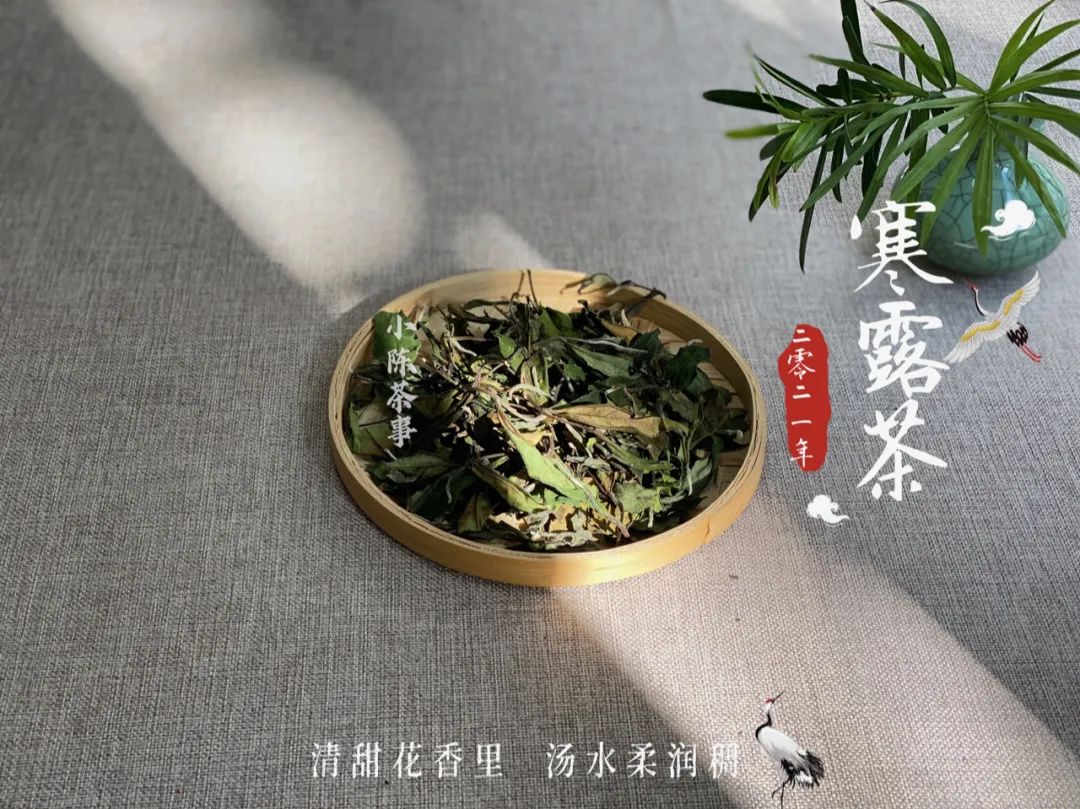 2021寒露茶，素雅若九秋菊，莹莹似月中之月，幽兰之香，清冷芬芳