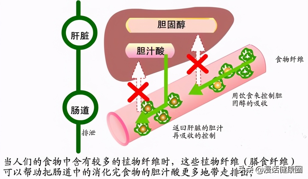 胆红素高千万别不当回事！医生告诉你实情