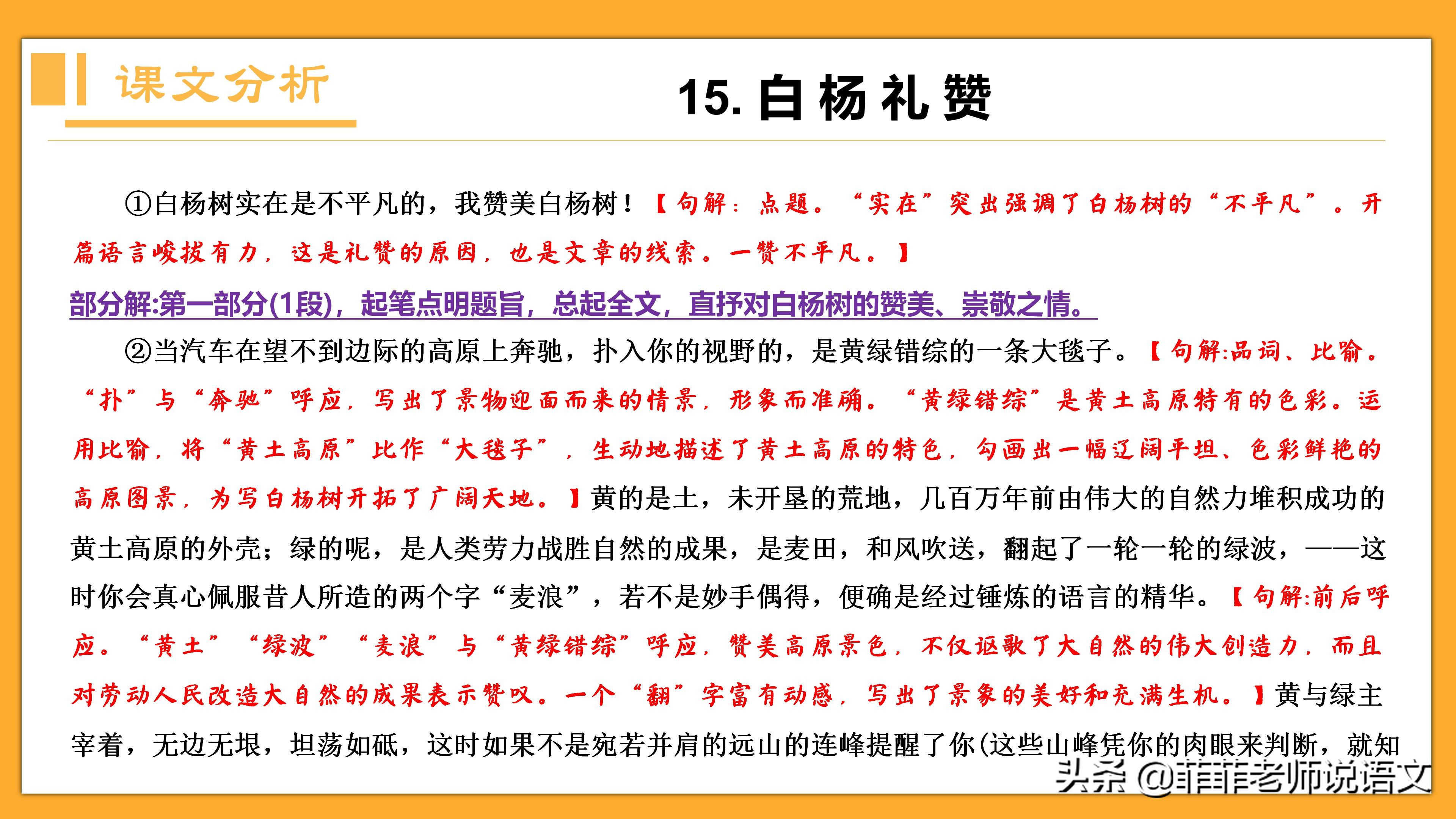 八年级语文上册第15课《白杨礼赞》详细笔记。预习复习可用