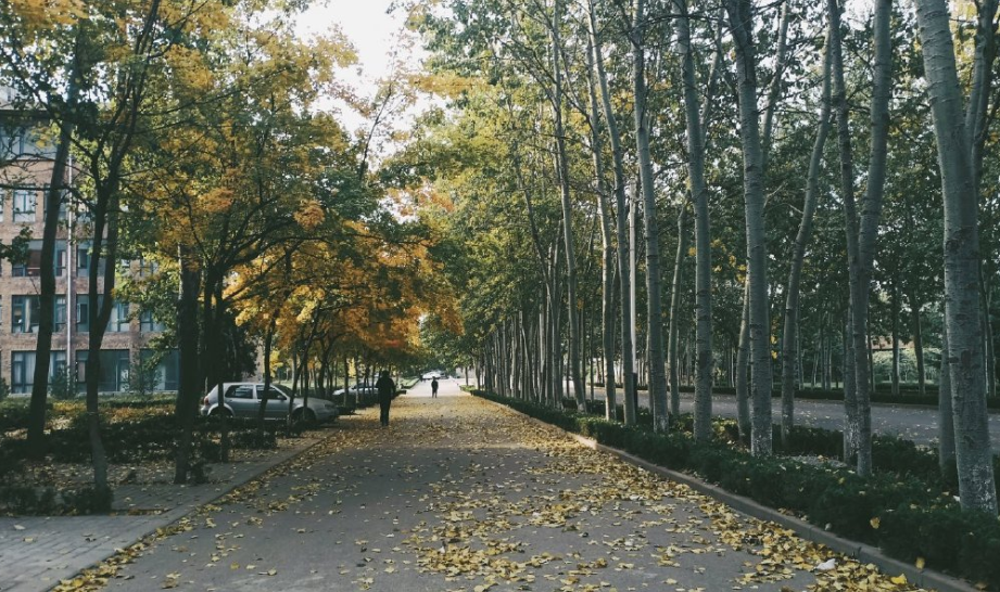 2020山东排名前六的高职高专：都是公办，一所比一所厉害