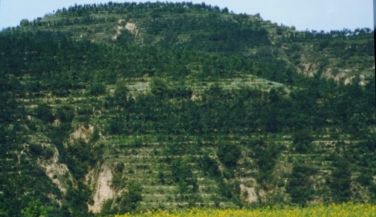 火了！北京这所大学频频登上中央电视台，研究成果在全世界发行！