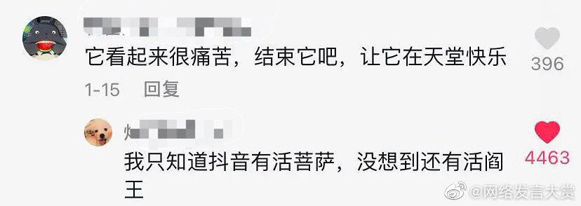 有一种怼人方式，叫做抖音评论，不愧是你