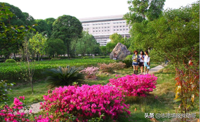 广西最厉害的一所大学，排名却“很靠后”，网友：末流211