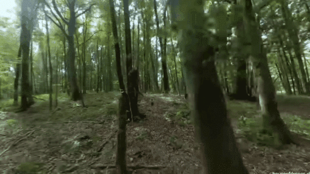 高速无人机独立穿越森林，全程自己规划路线，时速高达40公里