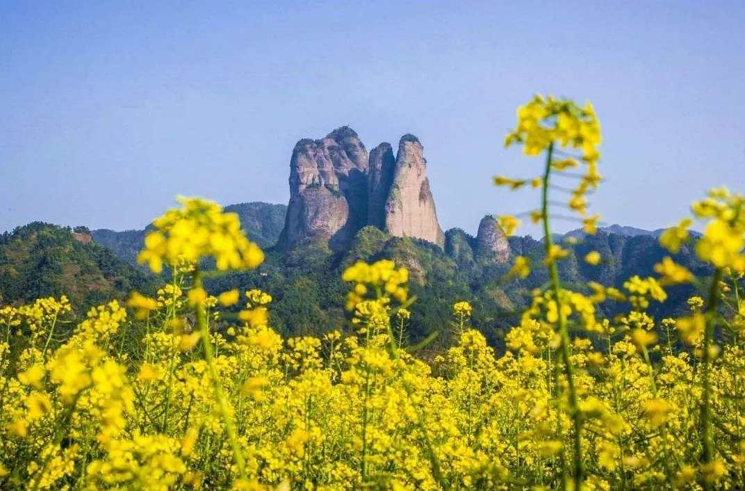 是因为衢州有很多风景优美的旅游胜地,而且大部分景点都不收门票,或者