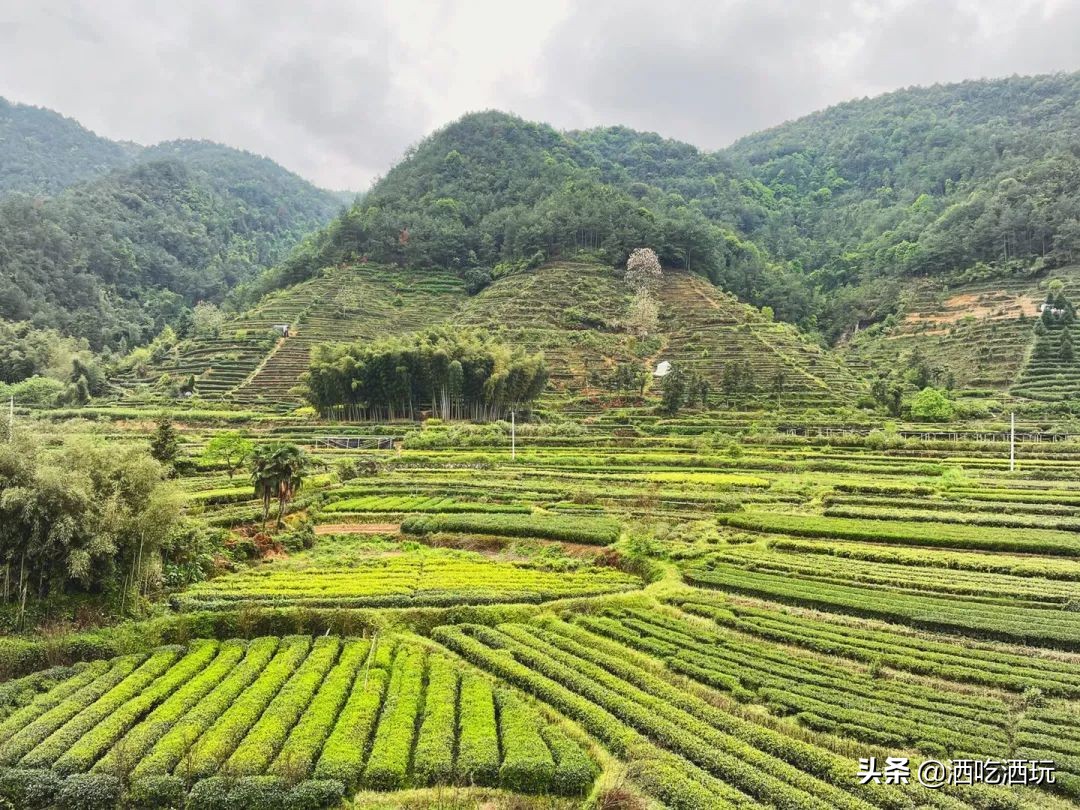 适合小长假出行！3天2晚探访江南秘境，丽水松阳超详细攻略