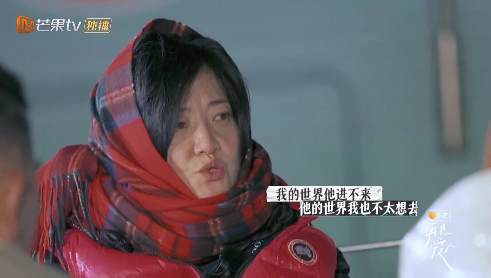 离婚真人秀《再见爱人》一夜爆火：明星离婚的真相，藏不住了