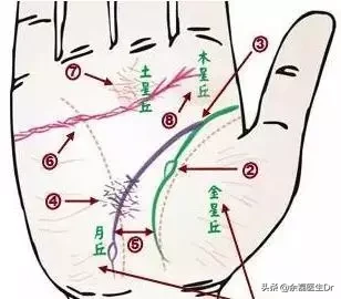 24种手诊图，揭示你的身心健康