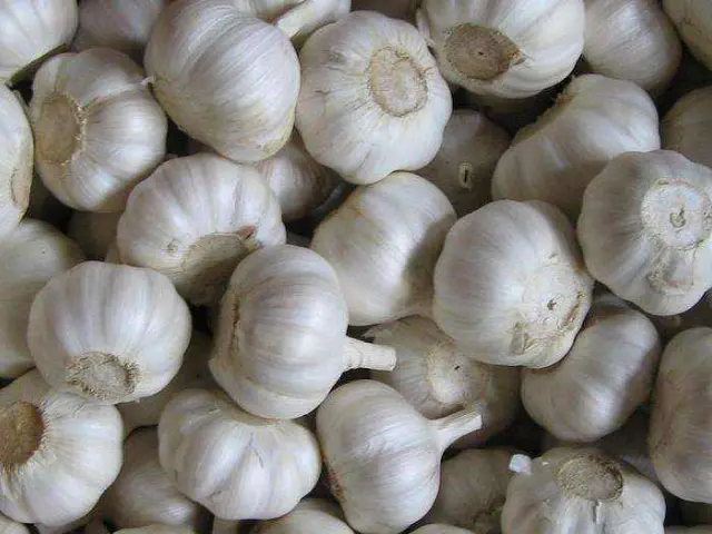 小小一颗蒜，竟是全家的保健“药”，每天来一瓣，保健效果佳