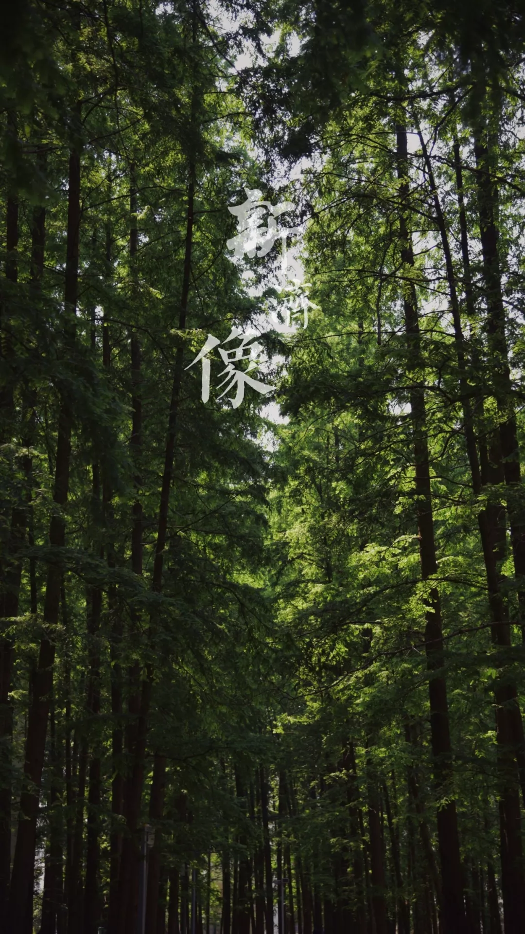 中国这10所大学壁纸第二期！厦门大学、中山大学等在列