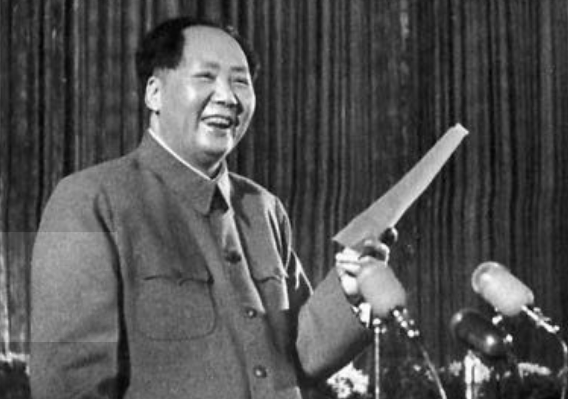 1949年选举了国家主席，毛主席以一票之差没有当选。谁投了反对票。