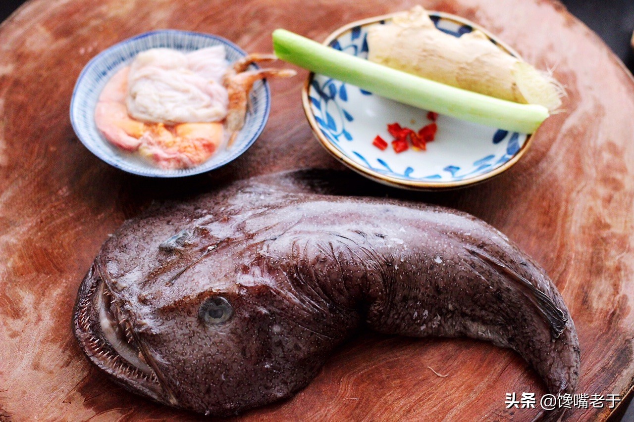 安康鱼因为长相问题,所以也叫作蛤蟆鱼,结巴鱼,海鬼鱼等等.