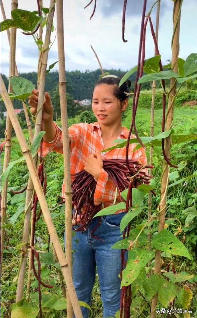 夏日水清凉，新鲜蔬菜嫩而香