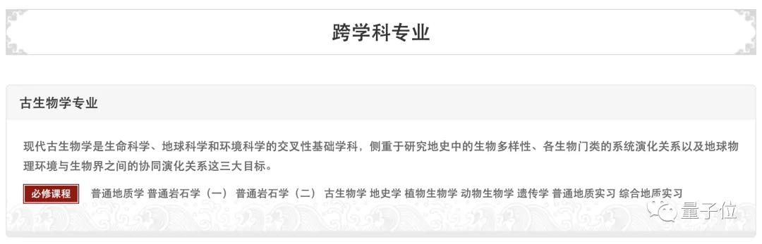 她是北大“一个人的毕业照”主角，古生物专业，十年后搞起了AI