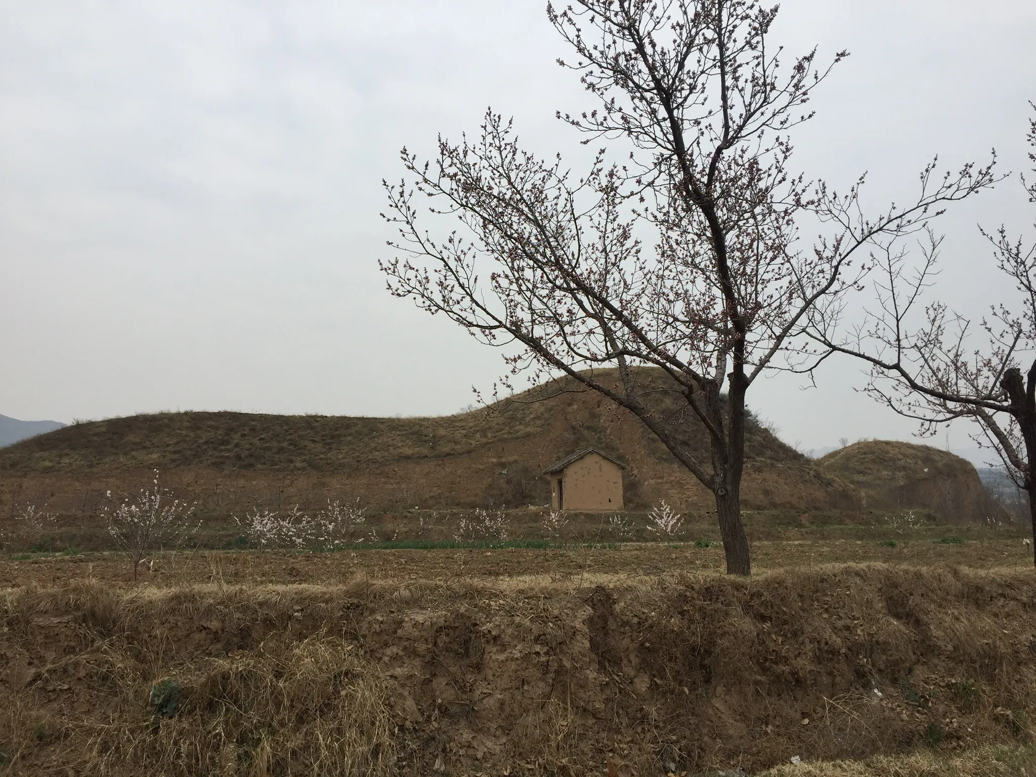 五,卫国公·李靖墓