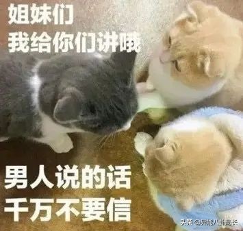 爱犬运送中去世 李紫婷发文求助