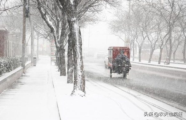 腊八到，俗语“腊七腊八，冻死寒鸦”啥意思？春节期间冷不冷呢？