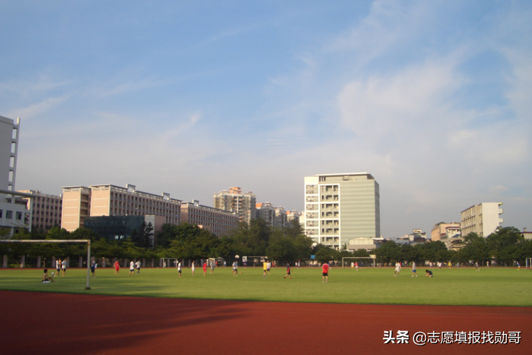 新高考专科，老文理数据相差太大，填志愿太难了？这里有好办法