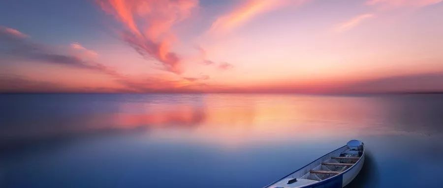 87艺术高考网粉鲍（中国姓氏重新洗牌）