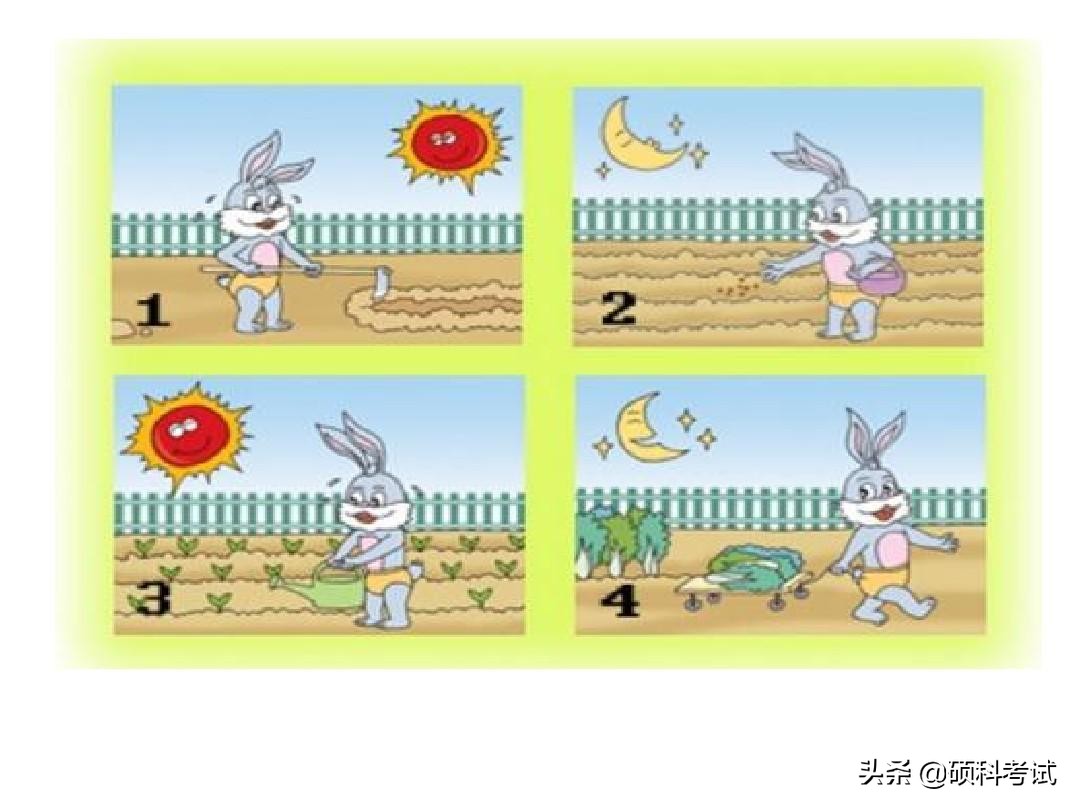 二年级看图写话全集:语文考试满分必备(完整版)附参考范文