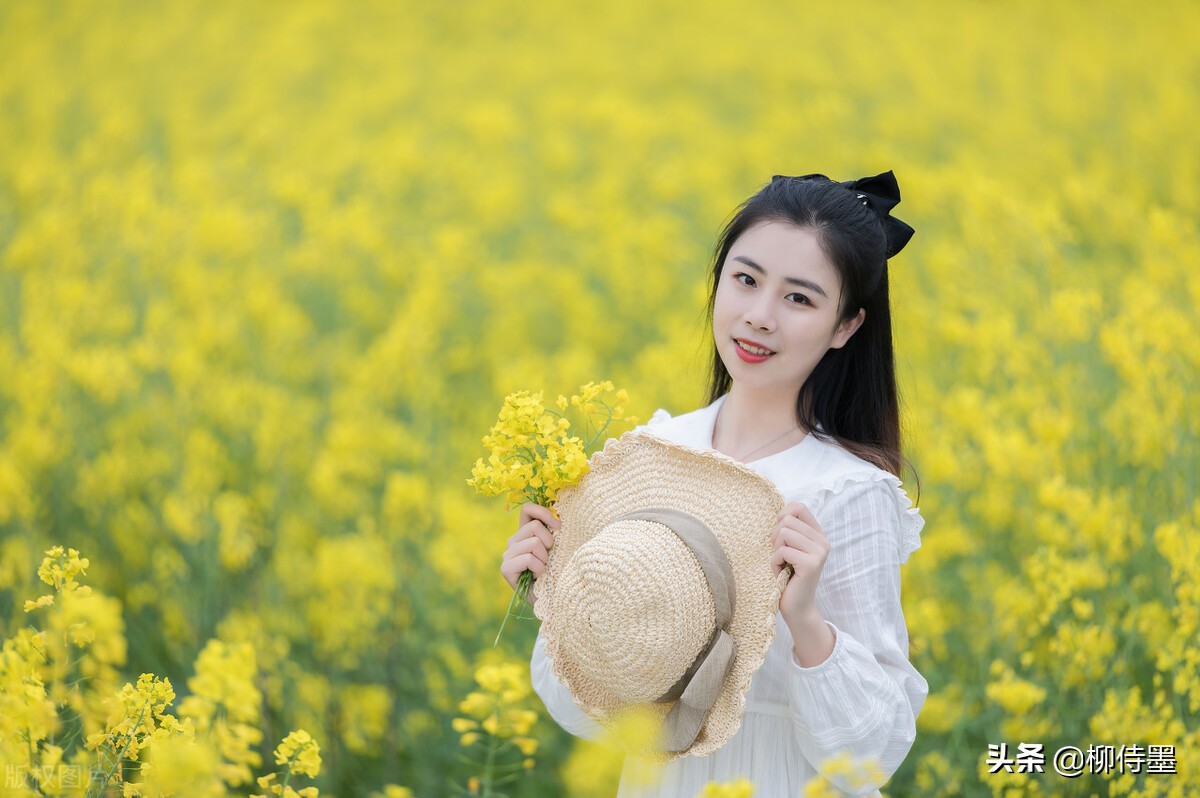 風景美女背影唯美圖片(夏日旅行和油菜花合影) - 赤虎壹號