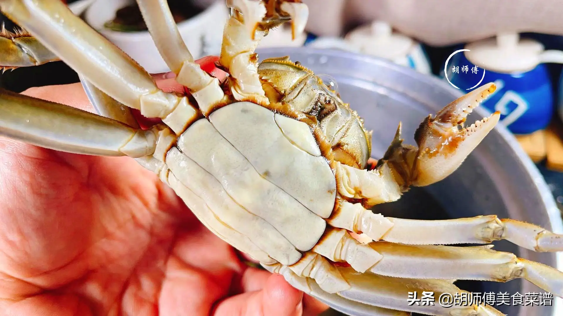 螃蟹可以放冰箱冷冻保存吗（保存螃蟹的最佳方法）