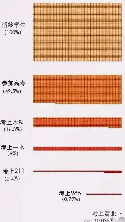到了高中才明白，985大学原来是“98.5%的高中生考不上”的意思
