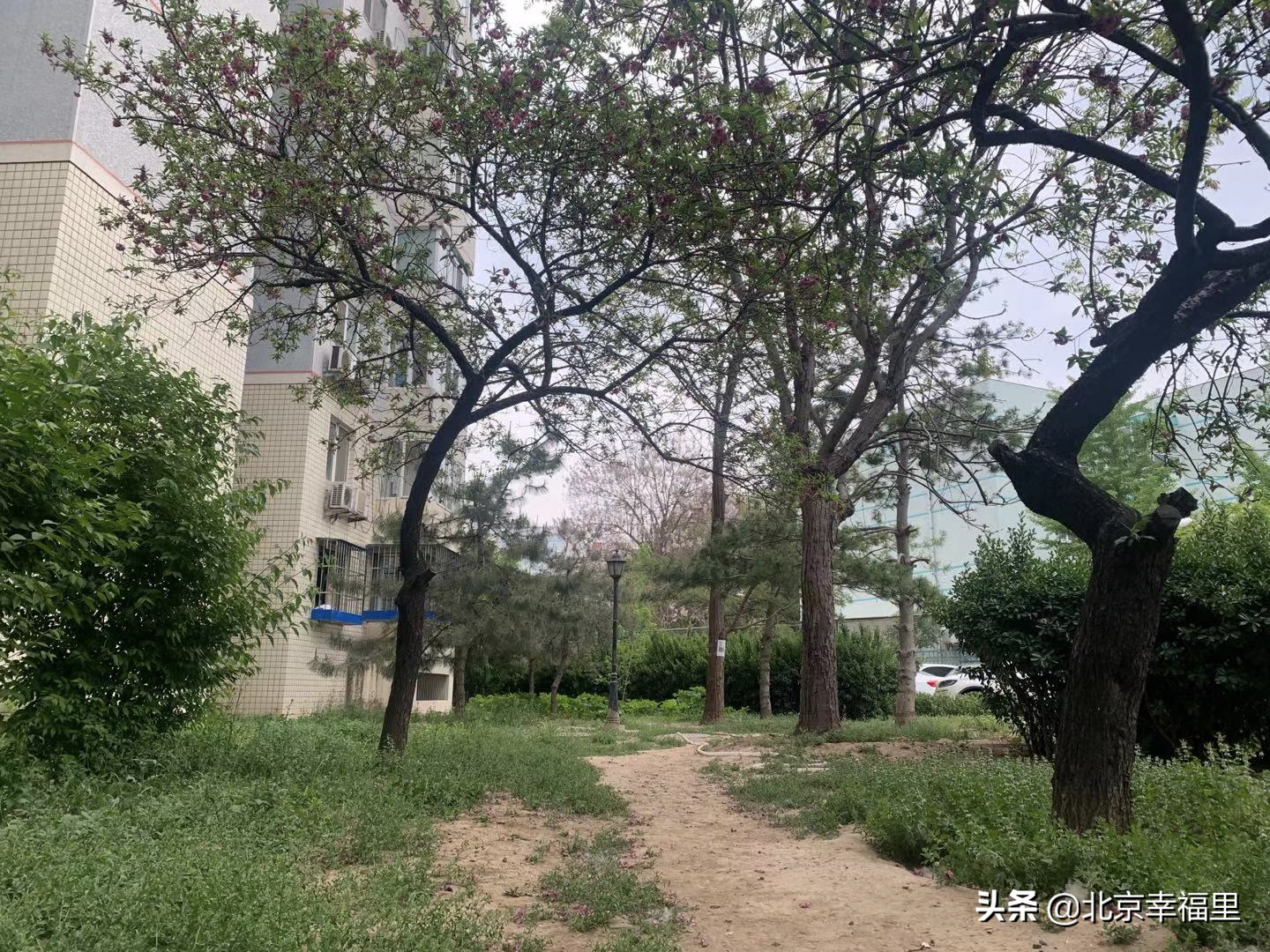 上车望京并不难！165万入住成熟社区吃喝玩乐俱全