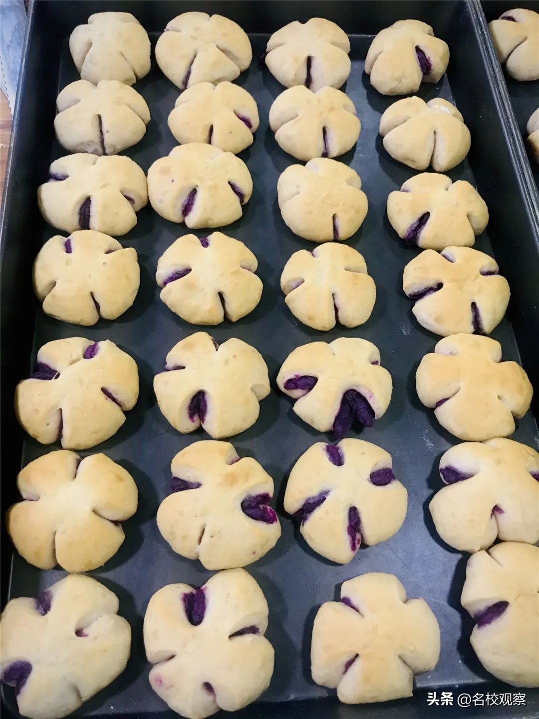 开学第一周，学校食堂都吃些啥？营养食谱来啦